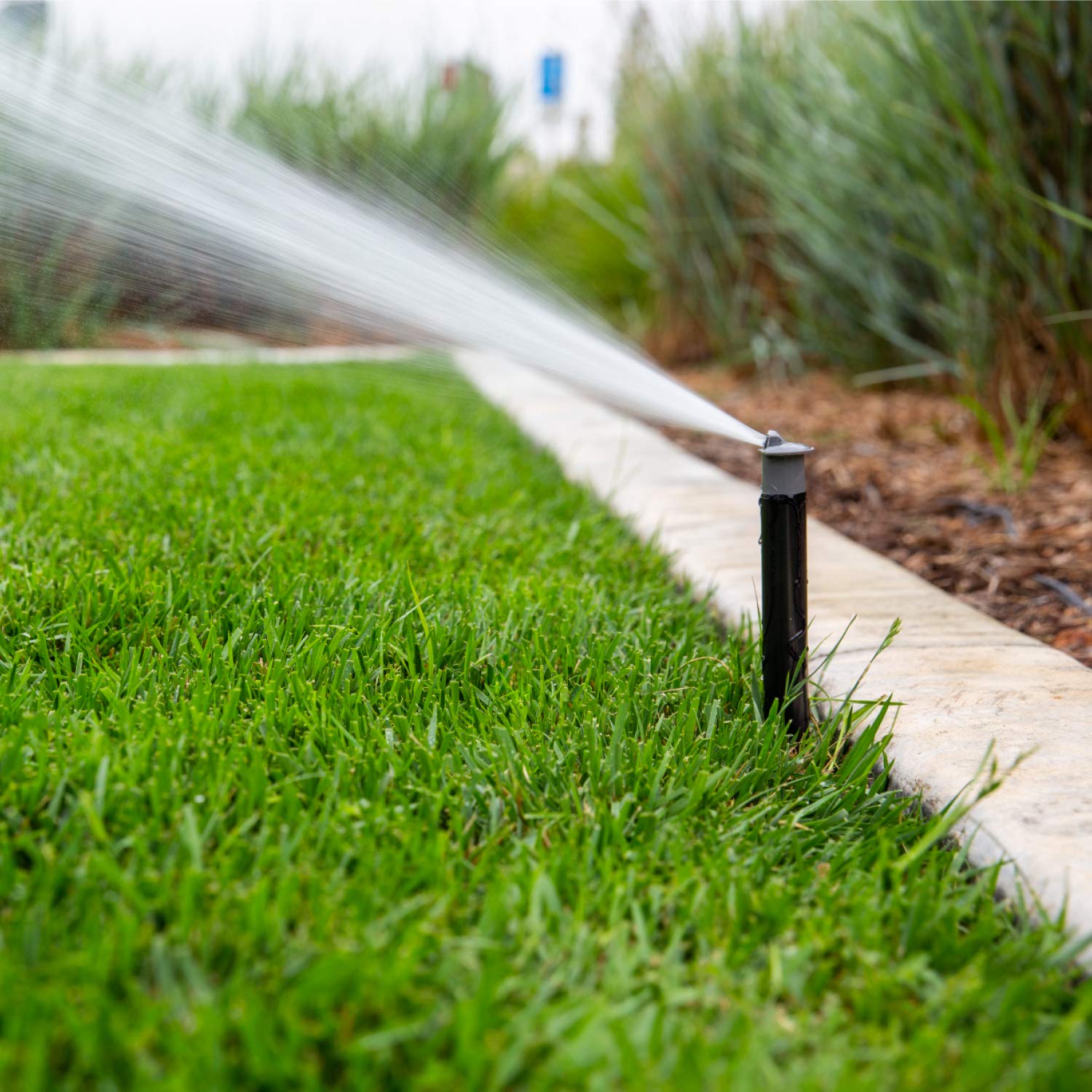 Hunter 4" Pop Up Sprinkler Head, Pressure Regulated 30 PSI, Heavy Duty, WaterSense Certified, Leak Resistant, MP Rotator Compatible, Lawn, Yard, Garden Irrigation - Image 3