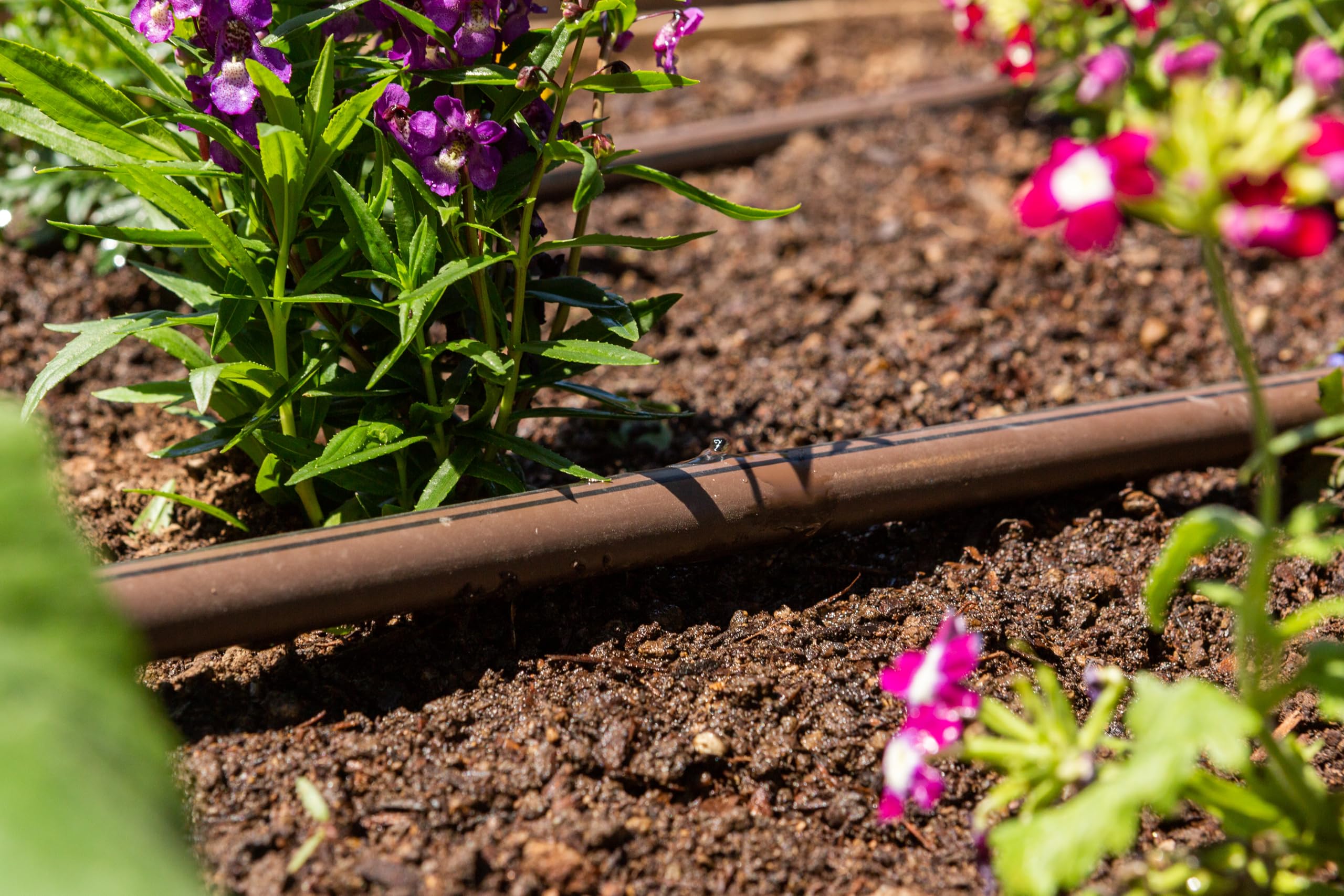 Hunter HDL Dripline PC 250 ft, 0.9 GPH Pressure Compensating Drip Irrigation Tubing, 12" Emitter Spacing for Garden, Lawn, Raised Beds, Landscaping - Image 4