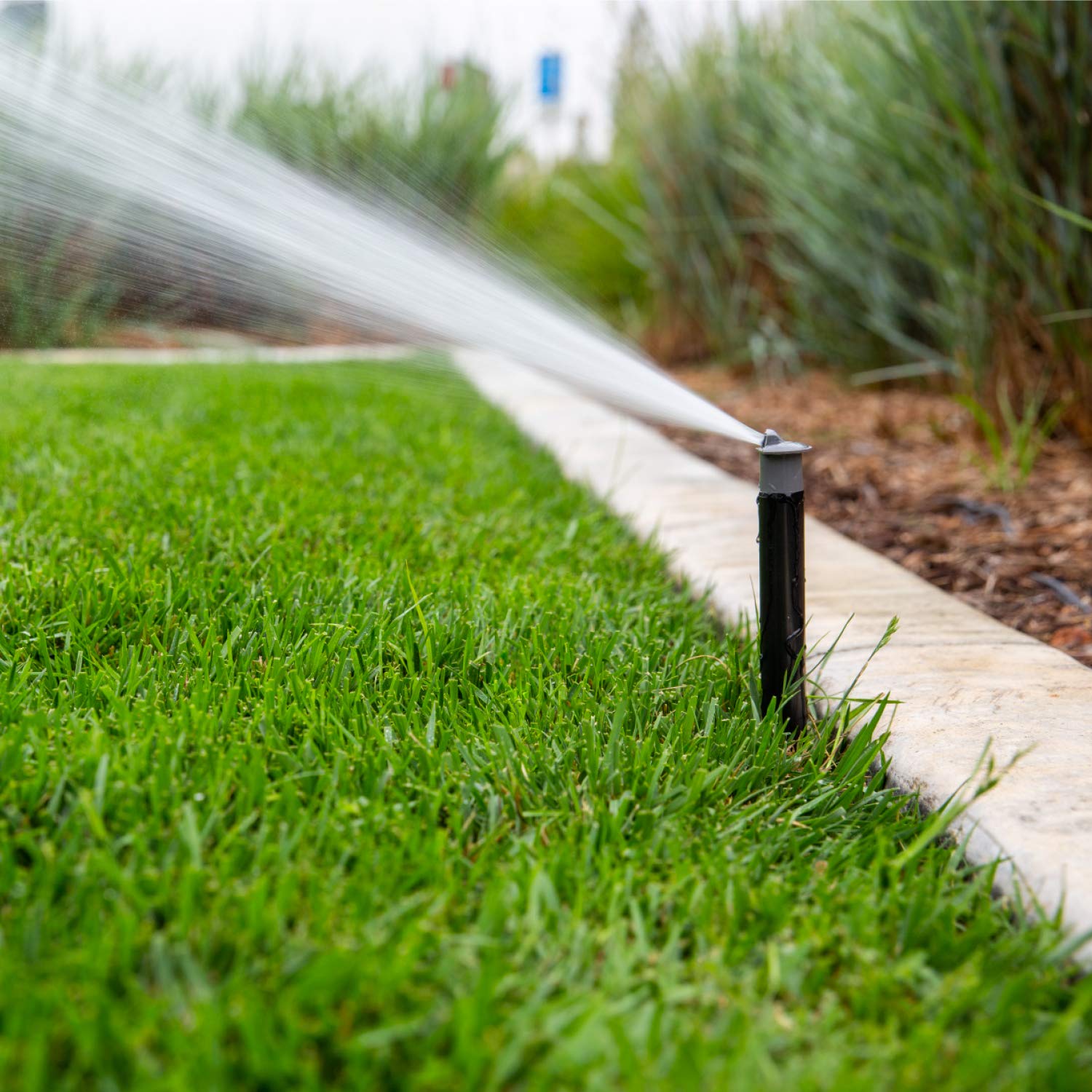 Hunter Industries PROS-04 Hunter Pro 4" Pop-up Sprinkler Spray, Black - Image 5