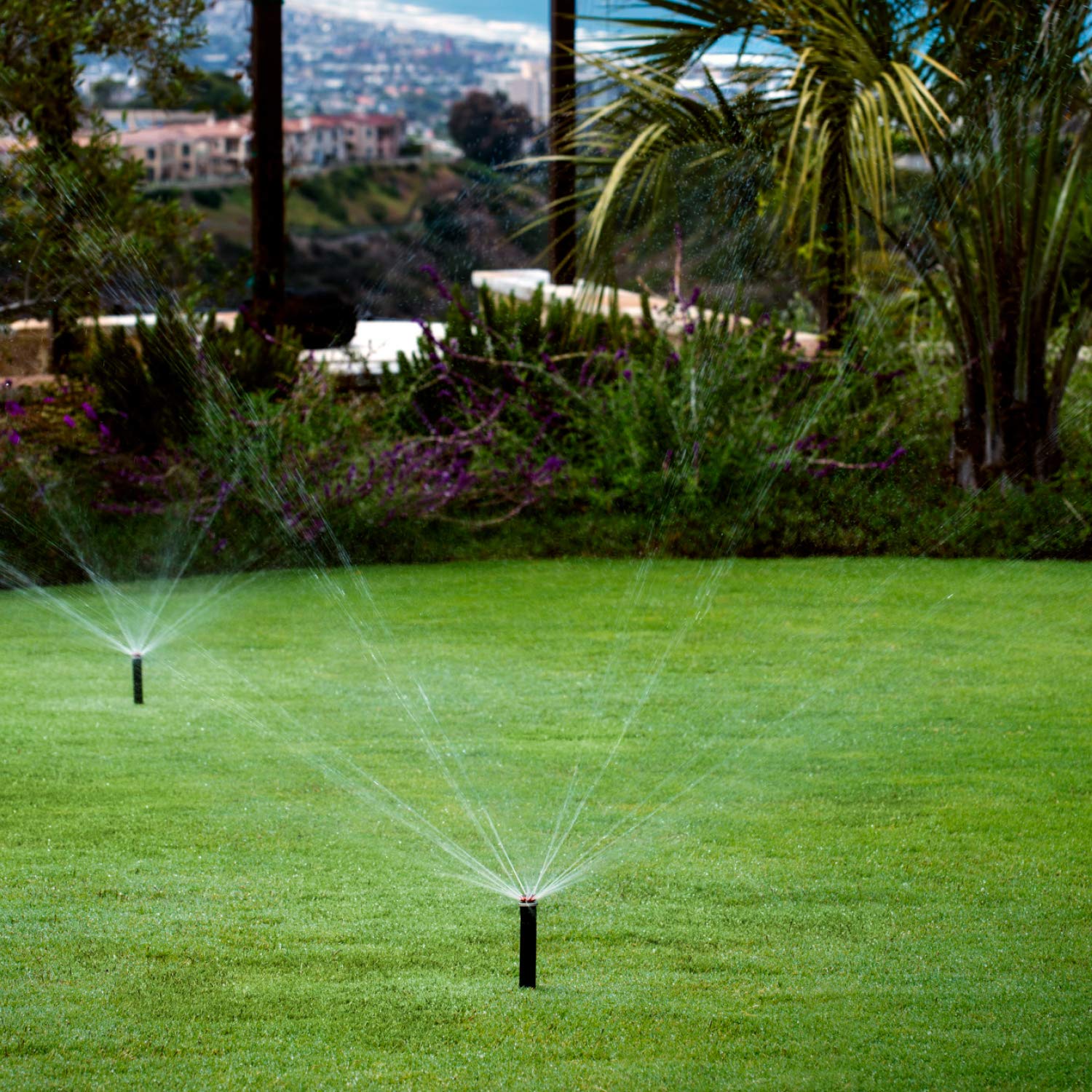 Hunter MP Rotator MP2000-360° Nozzle, Adjustable 13'–21' Radius Sprinkler Head, Water-Saving Lawn and Garden Irrigation System, Fits Most Pop-Up Spray Bodies - Image 3