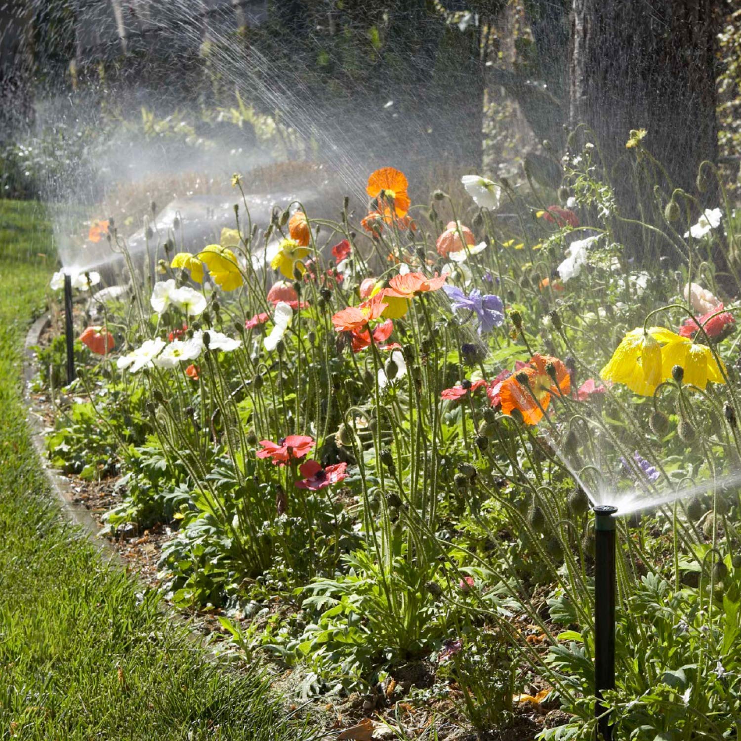 Hunter Industries PROS-04 Hunter Pro 4" Pop-up Sprinkler Spray, Black - Image 4