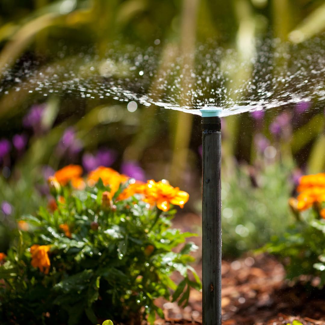 Hunter PRS30 6" Pro-Spray Pop-Up Sprinkler Body, 30 PSI Pressure Regulated, ½ Inlet, No Side Port, Brown Cap, No Nozzle Included, Fits Female Nozzles, WaterSense Certified - Image 4