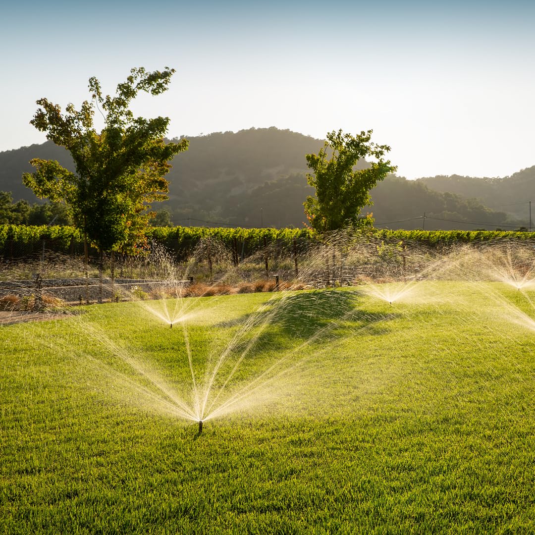 Hunter PRS30 6" Pro-Spray Pop-Up Sprinkler Body, 30 PSI Pressure Regulated, ½ Inlet, No Side Port, Brown Cap, No Nozzle Included, Fits Female Nozzles, WaterSense Certified - Image 6